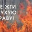 Не жги сухую траву. - Лешуконский муниципальный округ