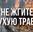 Не жгите сухую траву! Берегите жизнь, природу и имущество. - Лешуконский муниципальный округ